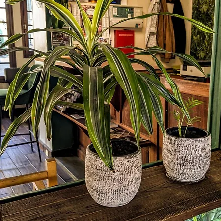 فندق مبيت وإفطار L'authentique Beaumont-le-Roger